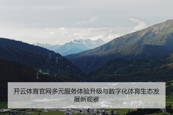 开云体育官网多元服务体验升级与数字化体育生态发展新观察
